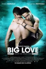 Big Love main poster