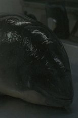 Necropsy of a Harbour Porpoise (Seeing From our Eyes into Theirs) (2015)
