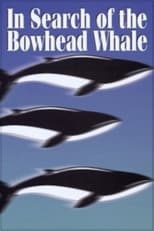 Poster for In Search of the Bowhead Whale