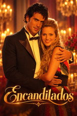 Dazzled poster