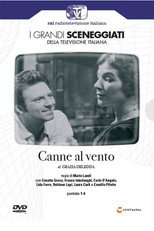 Canne al Vento poster
