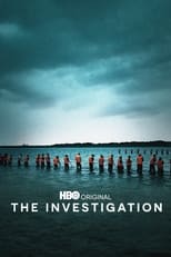 Poster for The Investigation Season 1