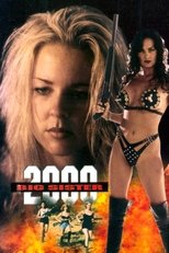 Poster for Big Sister 2000