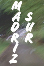 MADRIZ SUR poster