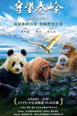 守望秦岭 poster