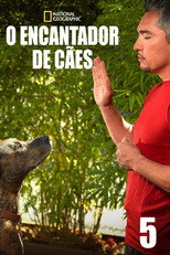 Pôster de Temporada 5 — O Encantador de Cães