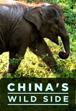 Poster for China's Wild Side