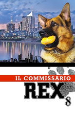 Stagione 8