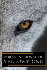 Pôster de Temporada 1 — Parque Nacional de Yellowstone