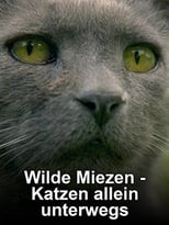 Poster for Wilde Miezen - Katzen allein unterwegs