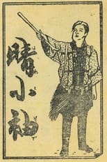 Poster for 晴小袖