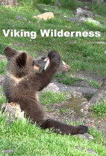 Viking Wilderness poster