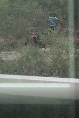 OCTOBER 2025: Olive Picking