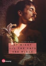Poster for At Night All the Cats Are Black 