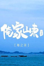 俺家山东 poster
