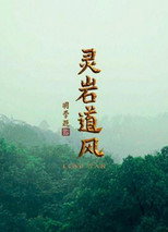 灵岩道风 poster