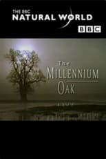 Poster for The Millennium Oak