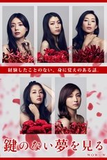 Kagi no nai Yume wo Miru poster image