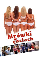 Mrówki w gaciach