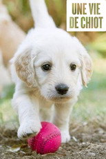 Une vie de chiot poster