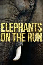 Poster for Elephants on the Run