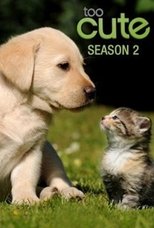 Poster for Too Cute Season 2