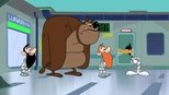Wabbit 3x100 (S03E100)