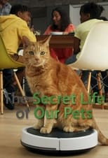 Poster for The Secret Life of Our Pets Season 1