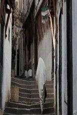 ثوار القصبة