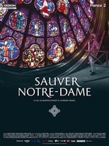 Poster for Sauver Notre-Dame 