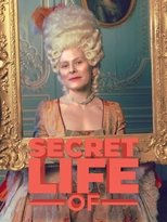 Poster for The Secret Life of...