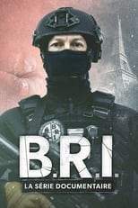 Poster for B.R.I. : La série documentaire