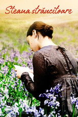 Steaua strălucitoare