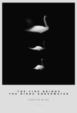 The Tide Brings the Birds Underwater poster