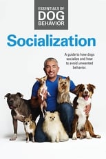 Poster for Essentials of Dog Behavior: Socialization