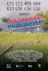 Between the valleys, between the hills. In the footsteps of the future sound of Slovakia. poster