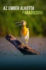 A Man-Made Paradise main poster