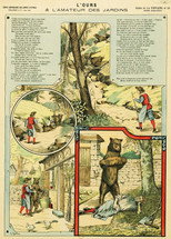 The Bear and the garden Lover