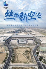 丝路新空港 poster