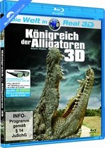 Alligator Kingdom 3D