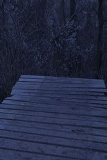 Rejigging Nest In My Diaries