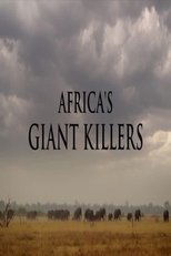 Poster for Africa's Giant Killers