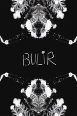 Poster for BULIR 