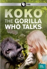 Poster for Koko: The Gorilla Who Talks to People