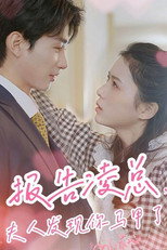 报告凌总，夫人发现你的马甲了 poster