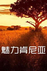 魅力肯尼亚 poster