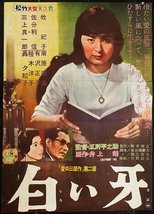 Shiroi Kiba