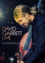 Poster for David Garrett LIVE - In Concert & In Private