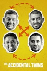 The Accidental Twins poster movie