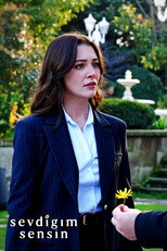 The One I Love poster